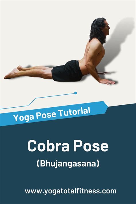 Beginner S Guide To Cobra Pose In Yoga