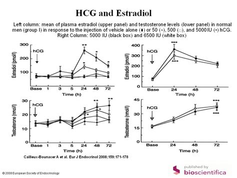 Hcg Plus Trt To Prevent Reverse Testicular Shrinkage And Decreased