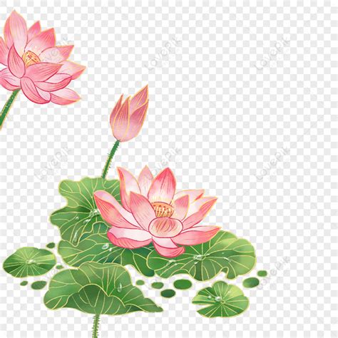 Lotus Flower Outline Clip Art Free | Best Flower Site