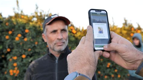 Pagos A Destajo En Agricultura C Mo Medir La Productividad Rawdata