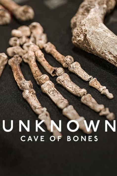 Unknown: Cave of Bones | online sa prevodom