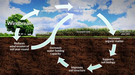 Soil Health