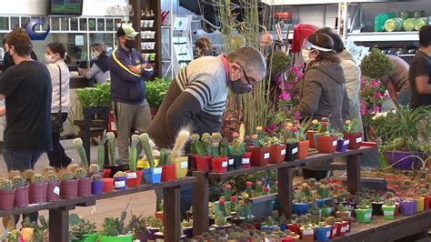 Visitamos El Vivero Antoniucci De Mar Del Plata Y Nos Mostraron Las