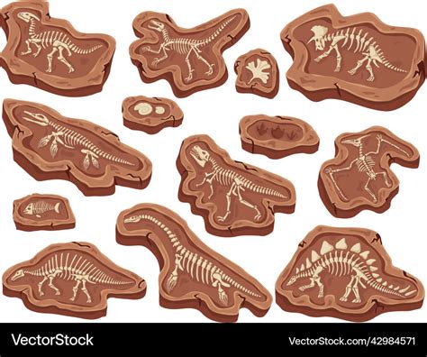 Cartoon Fossils Dinosaurs Fossilization Ancient Vector Image