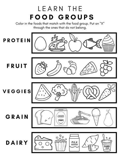 Learn The Food Groups Child Nutrition Education Handout Dietitian