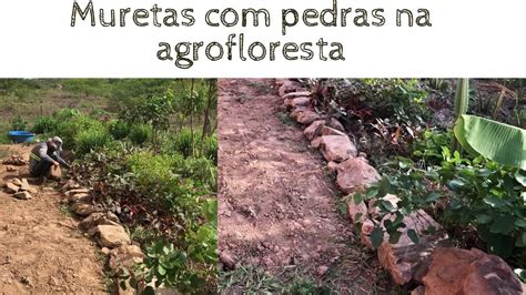 Construção de muretas pedras na agrofloresta tupi