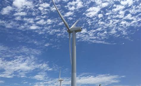 En Oaxaca se produce el 62 de la energía eólica generada en el país