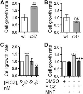 Stimulation Of Cell Proliferation By Ficz Mouse Hepatoma Hepa