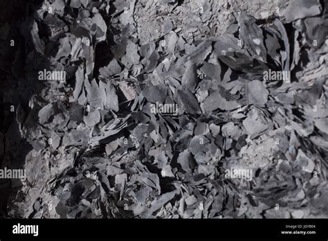 A Pile Of Ashes Remain After Burning Financial Papers Stock Photo Alamy