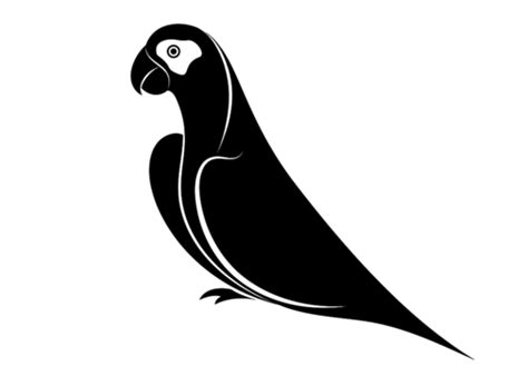 Stunning Parrot Silhouette Against White Backgroundvector Image Illustration Isolated Ara Vector