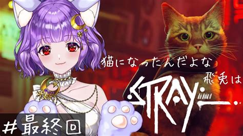 【stray】ついにラストスパート！猫は家族の元に帰れるのか？！グラフィック最高ゲーム【新人vtuberかぐや飛兎】 Youtube