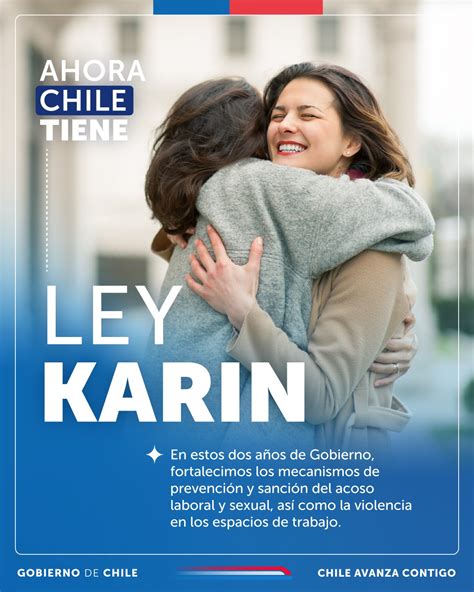 InfografÍa Ley Karin ¿qué Se Entiende Por Acoso Sexual Y Laboral