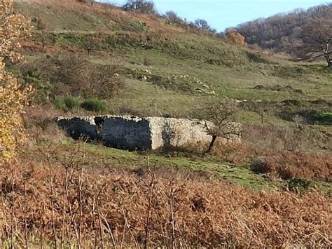 Parco Regionale Dei Castelli Romani I Sentieri C A I All Interno Del