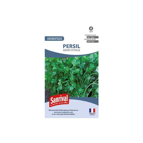 Graines De Persil Geant D Italie Semences Aromatiques Mymaisoon Fr