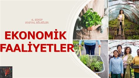 S N F Ekonomik Faaliyetler Sosyal Bilgiler Youtube