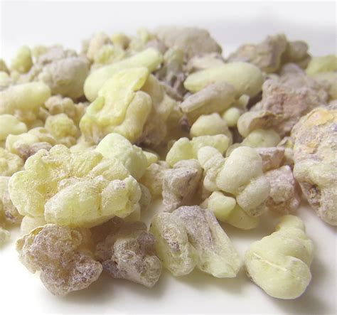 Boswellia Carterii G