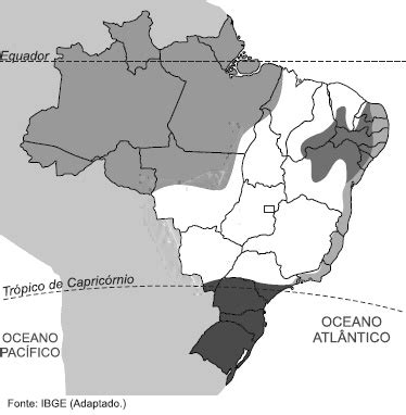 AIO A Analise Do Mapa E Os Conhecimentos Sobre Tipos