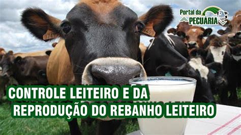 Controle Leiteiro E Da Reprodu O Do Rebanho Leiteiro Youtube