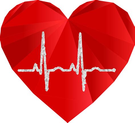 Download Ekg Heart Love Royalty Free Vector Graphic Pixabay