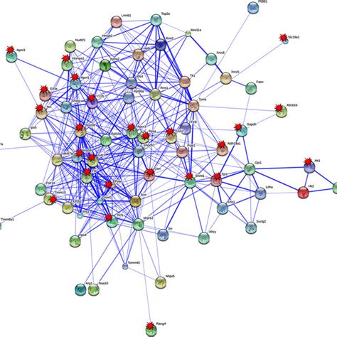 Protein Interaction Networks Of In Placs Of C Myc Transgenic Mice