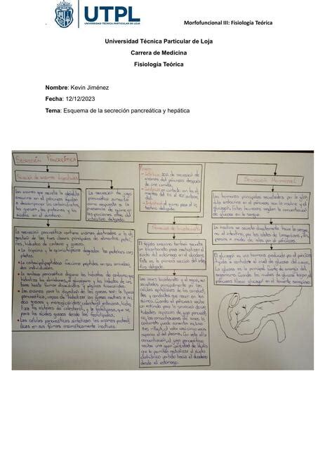 Esquema de la Secreción Pancreática y Hepática Kevin Stalyn Jimenez