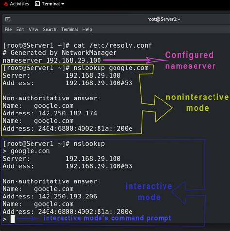 Nslookup Command On Linux