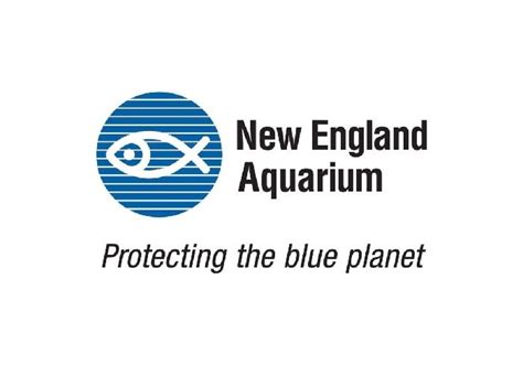 New England Aquarium Boston Whale Watching Tours