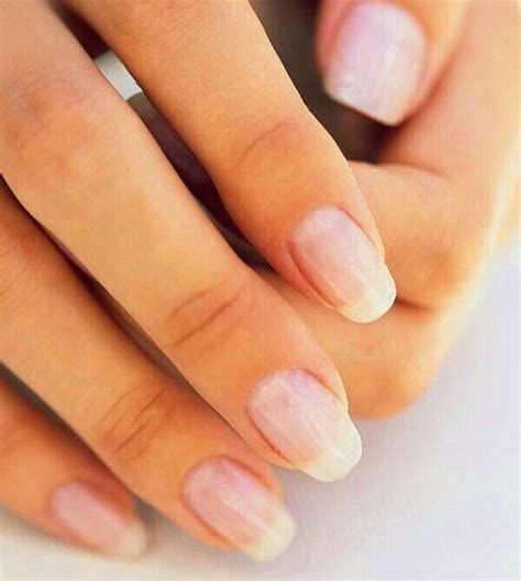 List Of What Nail Shape Is The Strongest For Natural Nails Fsabd