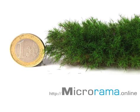 Herbe statique 2 mm Magifloc diorama modélisme ferroviaire vert printemps