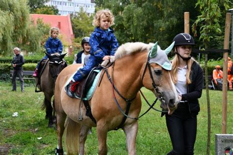 Baltic Park Molo Aquapark od jutra dostępny dla mieszkańców