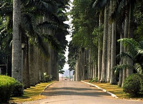 Aburi Gardens Fasci Garden