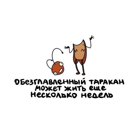 Интересные факты в Картинках, которые вам Понравятся