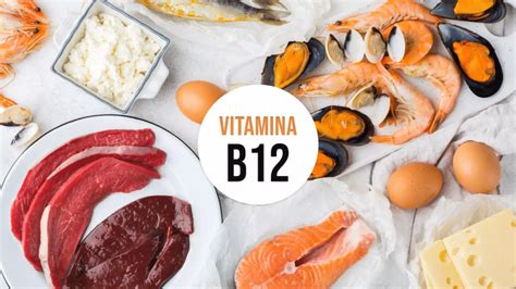 Los Alimentos M S Ricos En Vitamina B Para Deportistas M Todo L Zaro