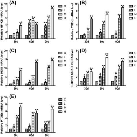 Effects Of As 2 O 3 On The Mrna Levels Of Nf κb Tnf α Inos Cox 2