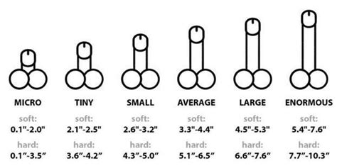 Penis Measurements R Coolguides