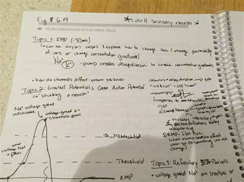 Sys Phys Lab Final Flashcards Quizlet