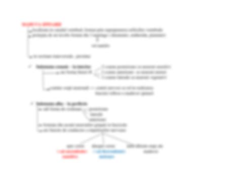 Solution Sistemul Nervos La Mamifere Studypool