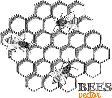 Drone Sketch Illustrations, Royalty-Free Vector Graphics & Clip Art ...