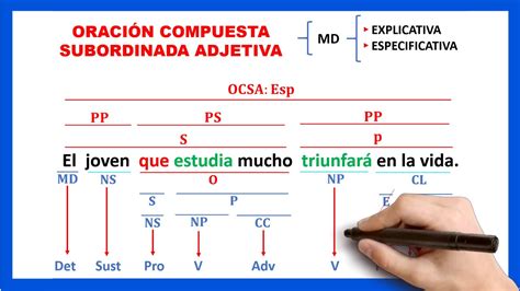 Oraciones Subordinadas Adjetivas Definici N Y Ejemplos