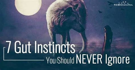 7 Important Gut Instincts You Should Never Ignore Listen To Your Gut Instinct Life Calling