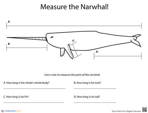 Measure Length Narwhal Worksheet