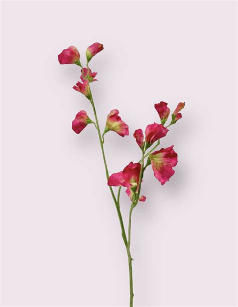 LATHYRUS ROZE 64 CM GROOTHANDEL KUNSTBLOEMEN WERELDWIJD Jim Jon