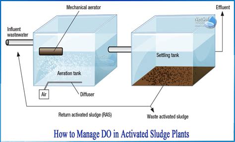 How To Manage Do In Activated Sludge Plants