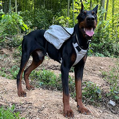 Sac Dos Multifonction Pour Chien Sac Dos De Randonn E Avec