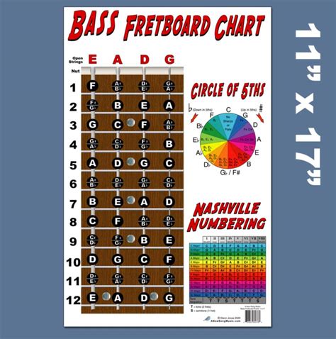 Buy 4 String Bass Fretboard Poster Nashville Numbering System Circle Of