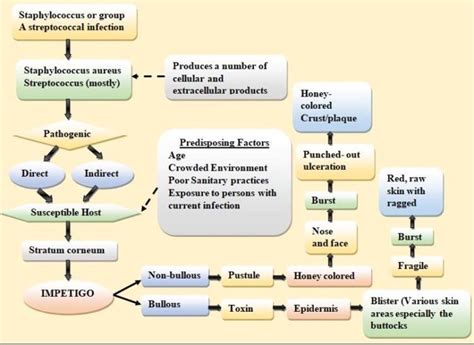 Skin And Soft Tissue Infections Current Advancement In Epidemiology