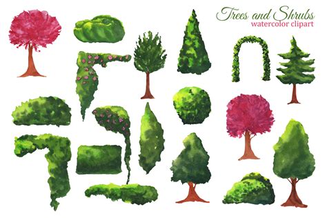 Shrubbery Clipart