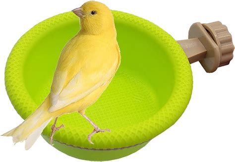 Amazon Bird Bath For Cage With Balls Bird Tub Bowl Basin