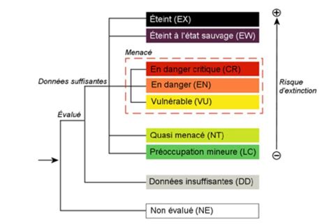 Biodiversité Qu est ce que la liste rouge des espèces menacées de l