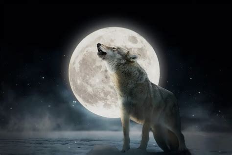 January Full Wolf Moon These Dos Donts Will Help You Handle The